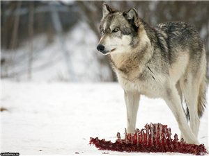 Евгений Ковальчук