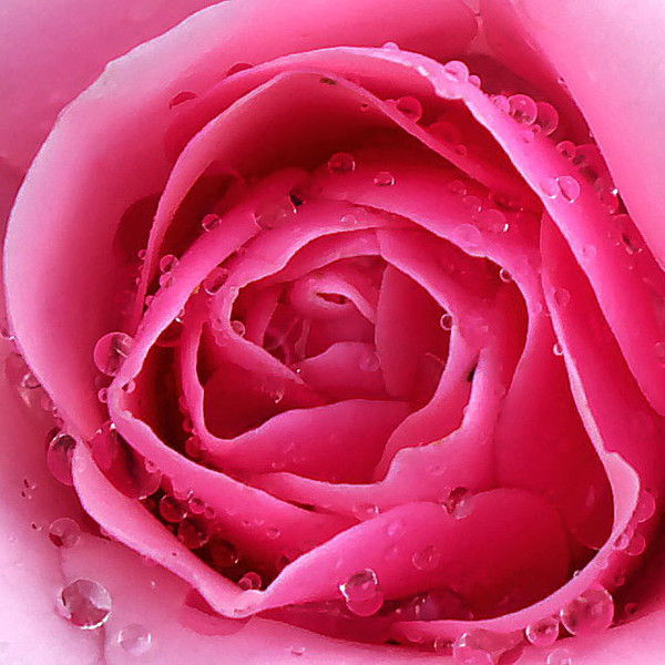 Усенбаева Айгуль