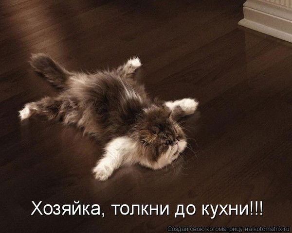 Елена Жилкина