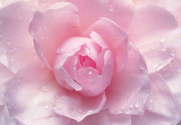 Гулдана Аюбаева