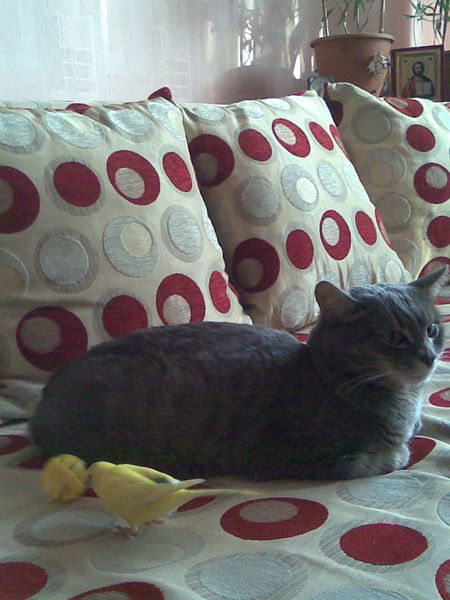 Галина Баранова