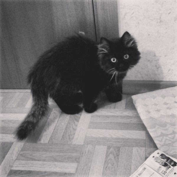 Надежда Пак