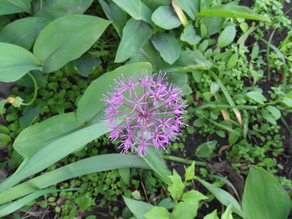 Наталия *натали*