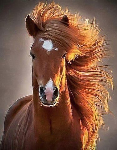 Лилия Даутова