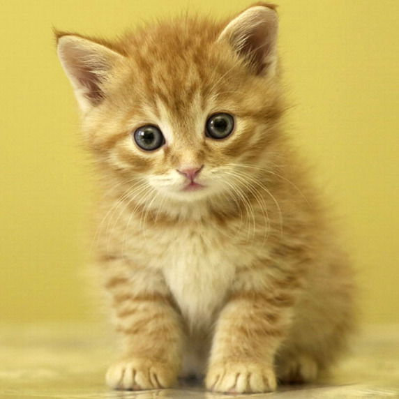 Баз. Матаки Офис