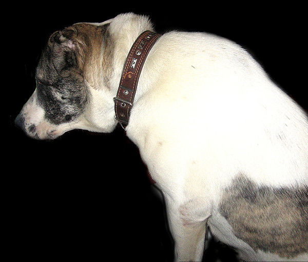 Константин Бычков