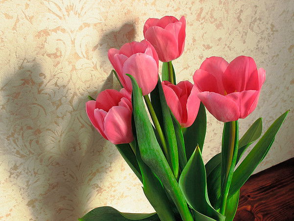 Людмила Колмыкова