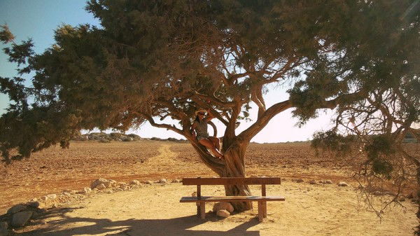 Татьяна Афанасьева