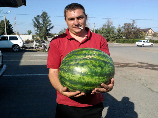 Роман Подхватилин