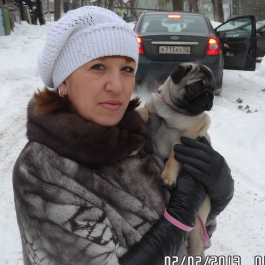 Елена Гученко