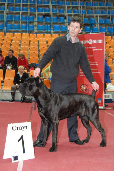 Эльдар Алиев