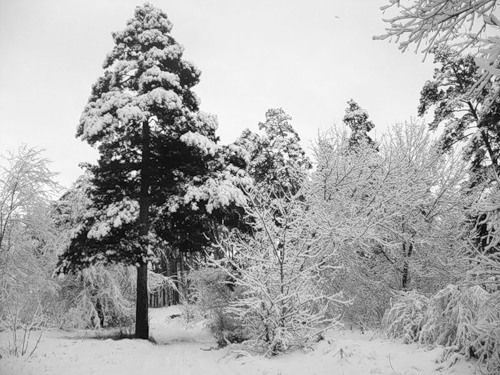 Саша Крючкова