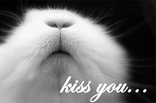 Анастасия Агафонова