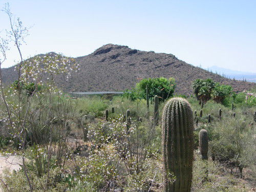 Александр Авдеенков