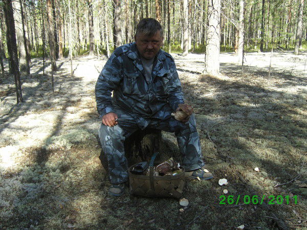 Владимир Чепайкин