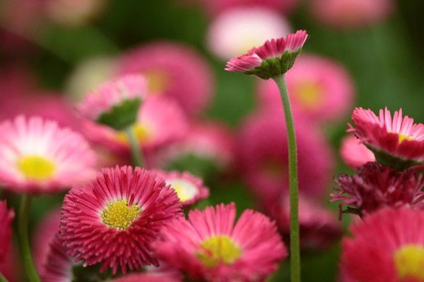 Оксана Власова