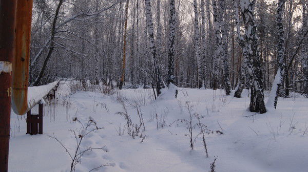 Иван Колесников