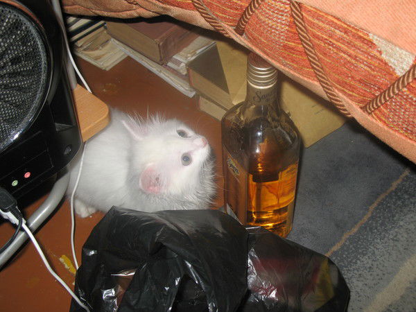 Оксана Ефименко