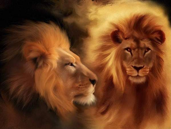 Дмитрий Сомов