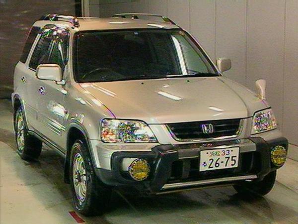 Денис Золотарев