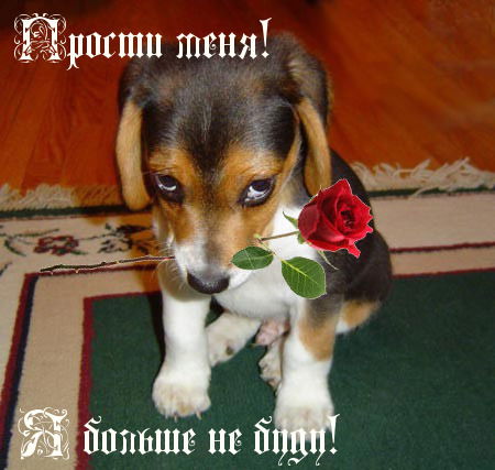 Вечный Странник