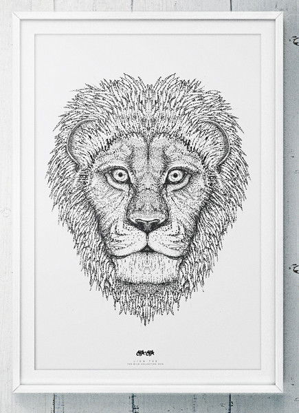 Мария Соколова