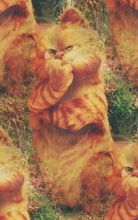 Виктория Дудакова