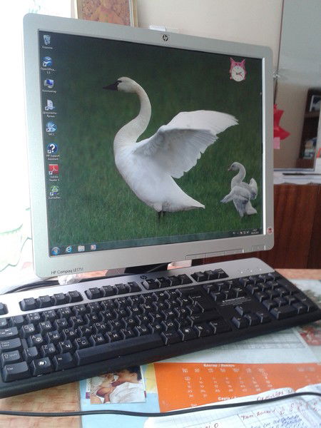 Роддом Цб Г.абая Кгп Цб Г.абая