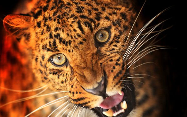 Серёга Пантелеев