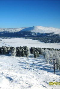 Рамиль Ильясов