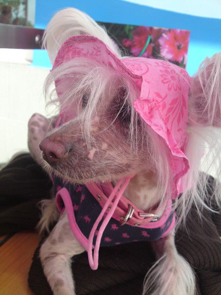 Тая Лебедева