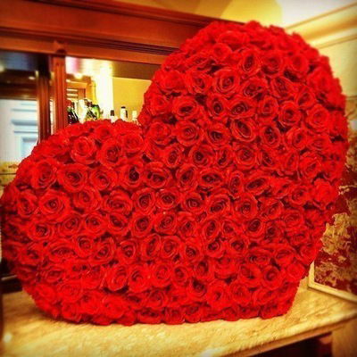 Анастасия Серебренникова