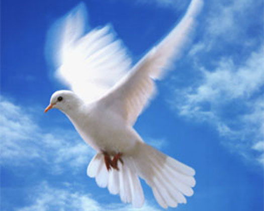 Ольга Рябцева