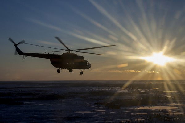 Дмитрий Коновалов