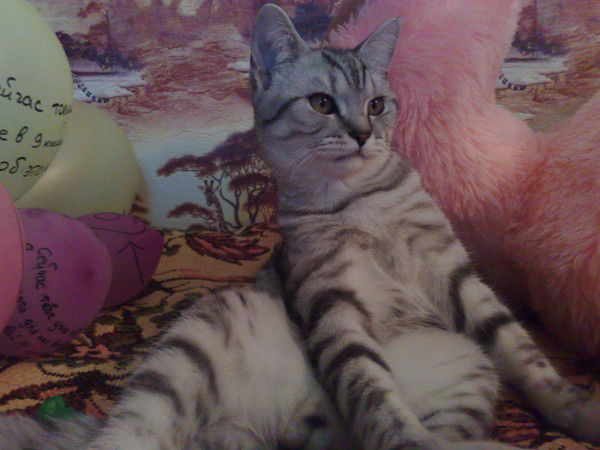 Надежда Мороз