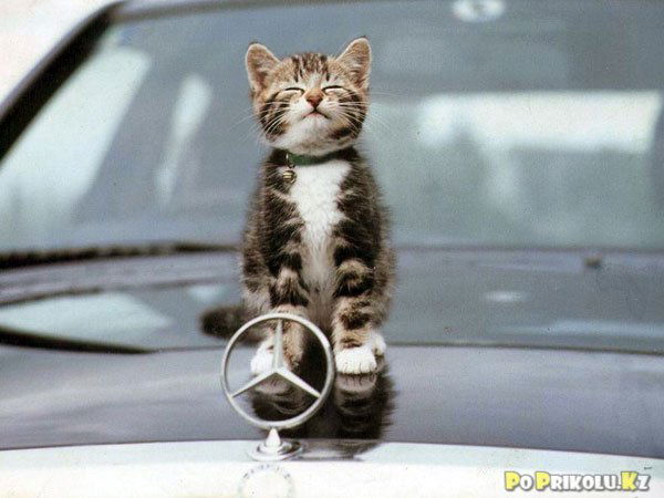 Салават Гимаев