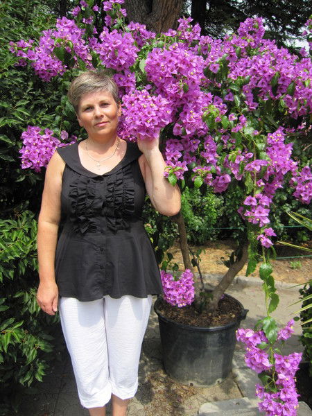 Елена Маевская (Наталоха)