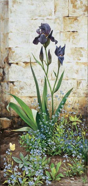 Светлана Виноградова