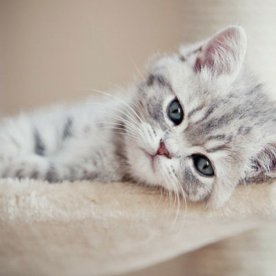 Виктория Прокошева