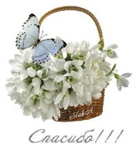 Айзирек Аликова