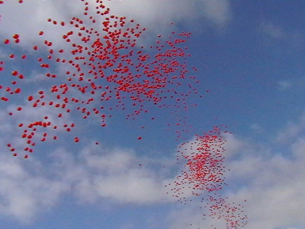 Елена Борячок