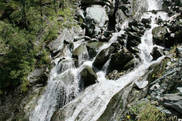 Рец Плановый