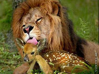 Валентин Безруков