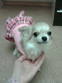 Мария Терещенко