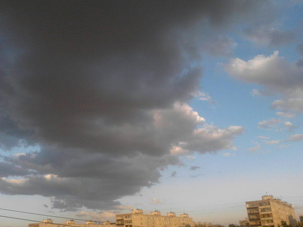 Олеся Комаренко