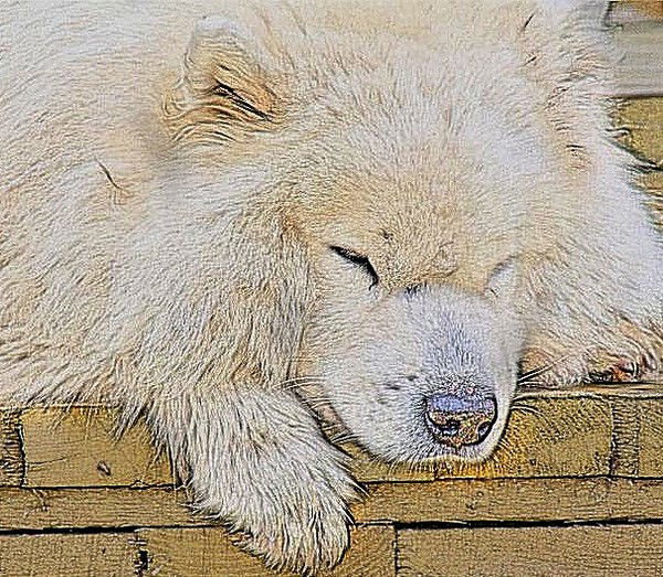 Альберт Бектемиров