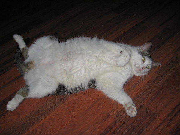 Рушания Сафронова