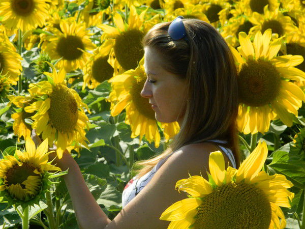 Евгения Морозова