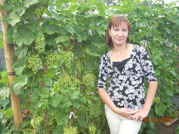 Елена Любимова