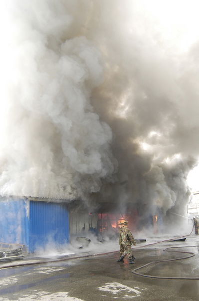 Андрей Холод